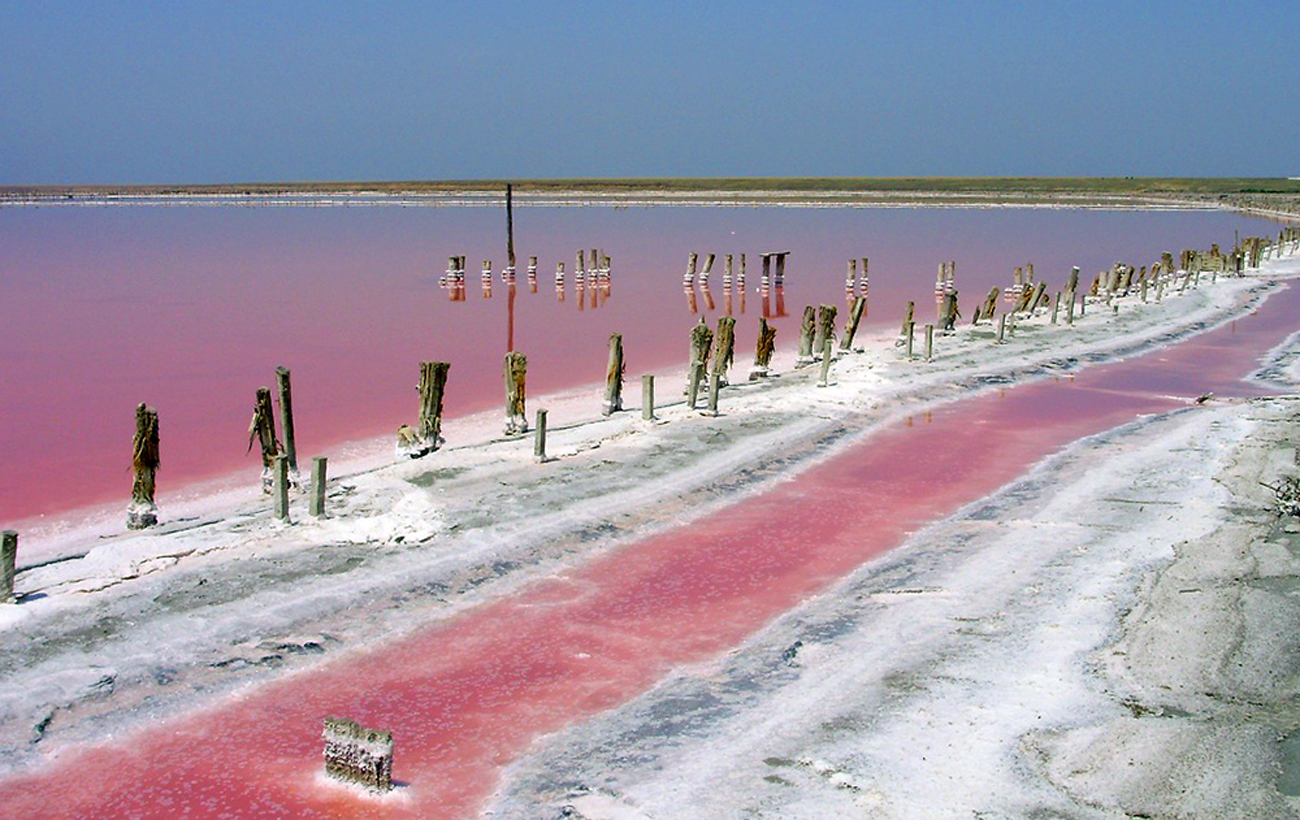 Глава Гостуризма Марьяна Олеськив: Отрасль восстановится только через пять лет